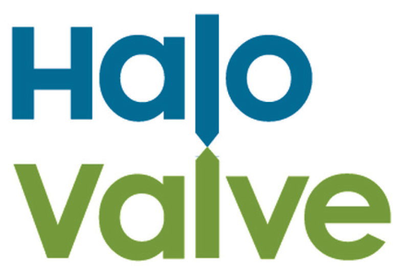 Halo Valve Logo